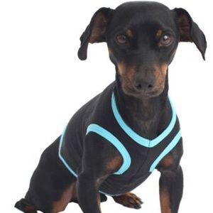 AMERICAN APPAREL (Large) California Fleece Dog Vest